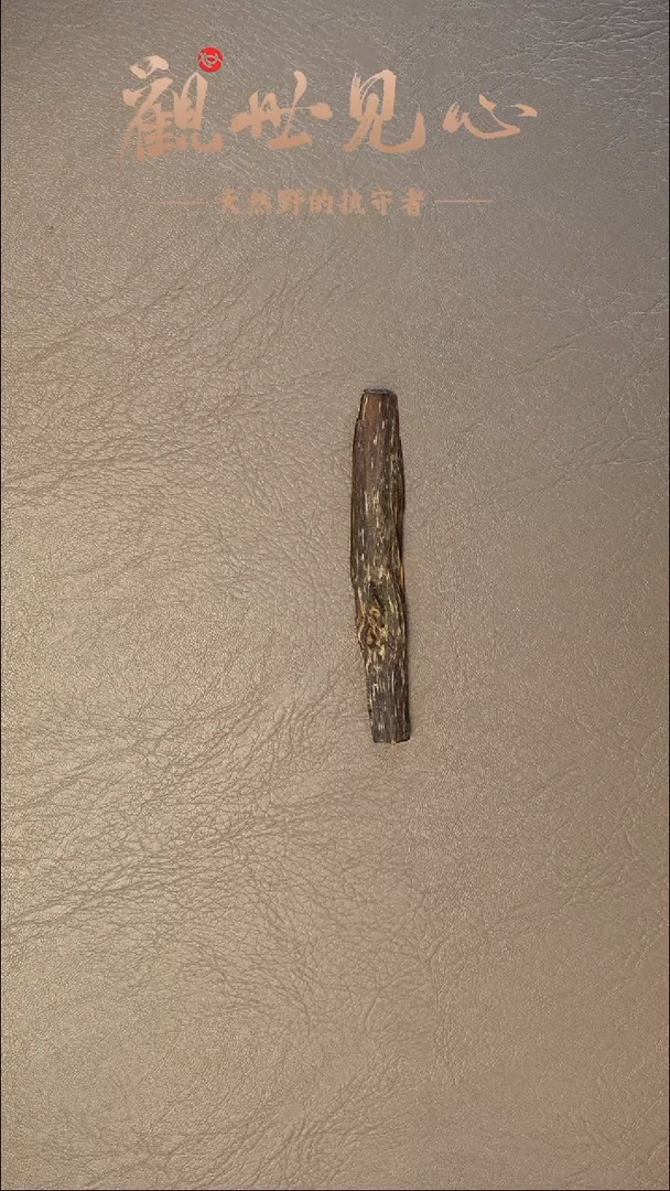 沉香沉香碎屑泰国树心油 1.33g