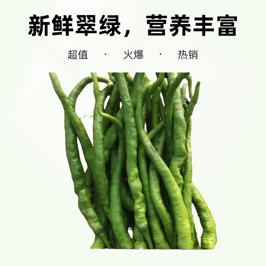 新鲜现摘中辣长条薄皮二荆条青辣椒产地直供炒菜美味
