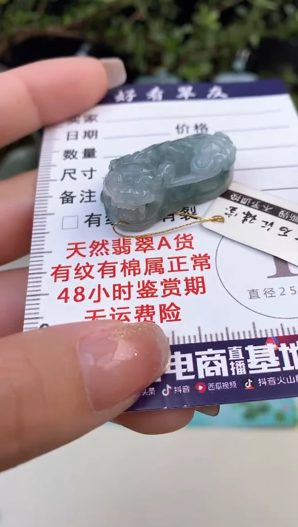 颈饰未镶嵌翡翠貔貅