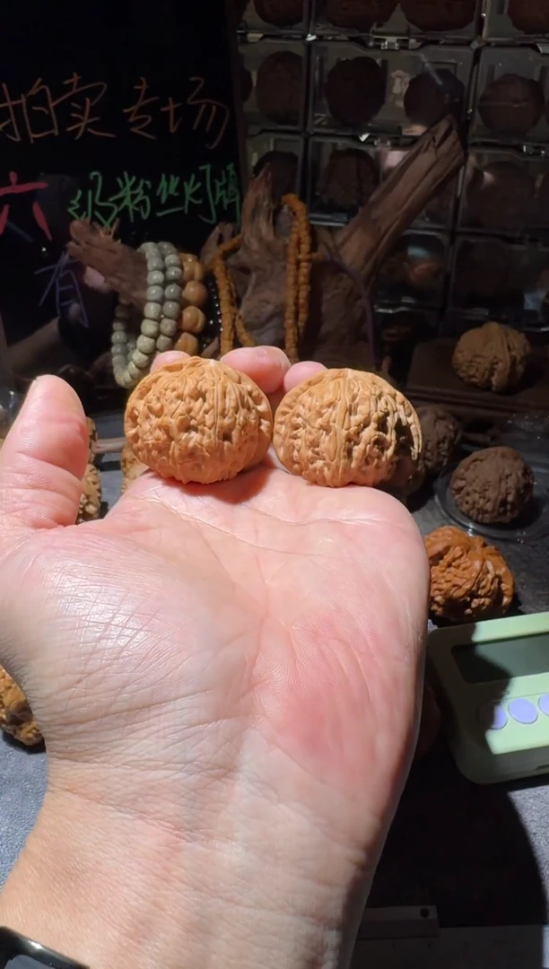 把件文玩核桃43白狮子