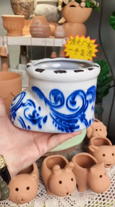 清华靴子花盆福利价
