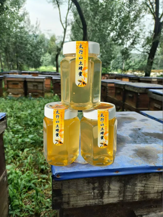 太行山黑蜂土蜂蜜500克/瓶（上等槐花蜜）