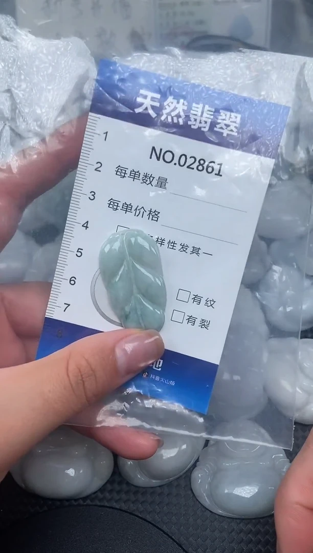 颈饰未镶嵌翡翠纯天然A货翡翠2861