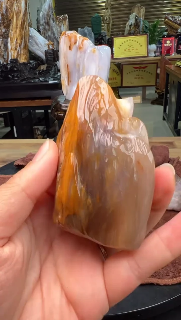 【闪购商品】硅化玉（树化玉）珠宝奇石未镶嵌1028