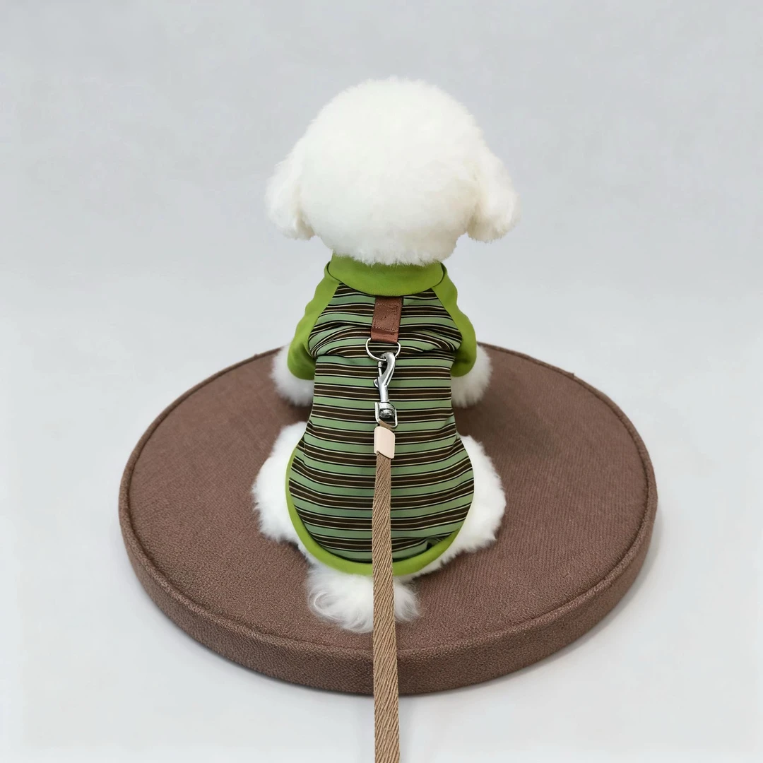 狗狗衣服秋冬季新款休闲风条纹两脚卫衣保暖小型幼犬泰迪比熊绒衣