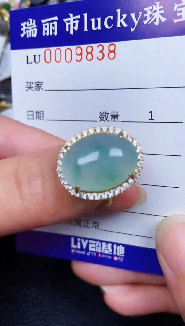 翡翠银S925镶嵌颈饰9838