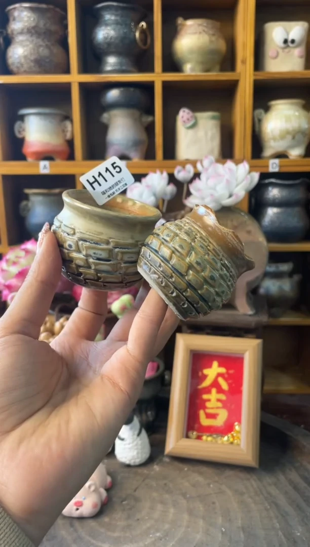 115【多肉花盆多肉盆】