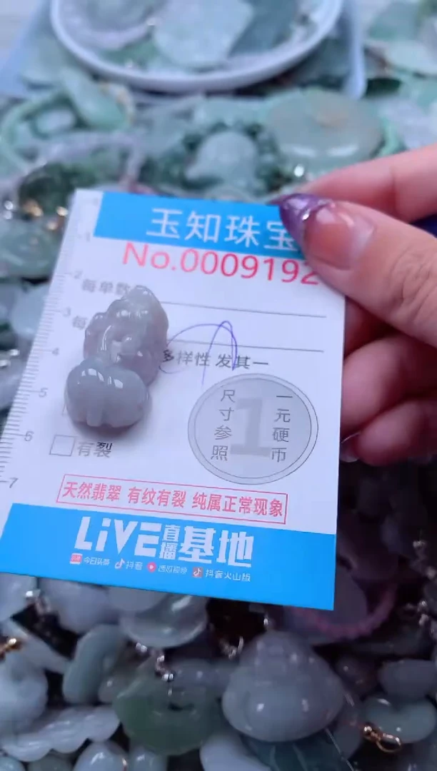 翡翠未镶嵌吊坠(不含链)9192
