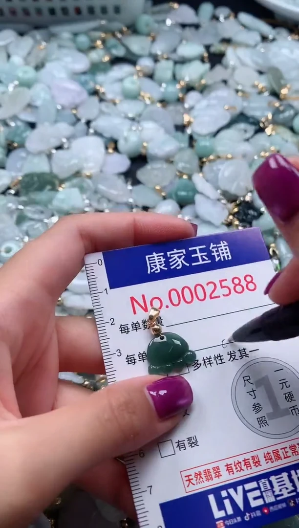 颈饰未镶嵌翡翠2588