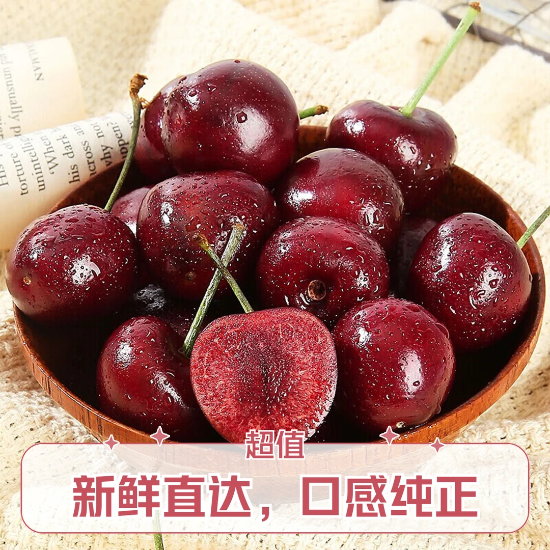 海运智利车厘子拉宾斯10斤装XL