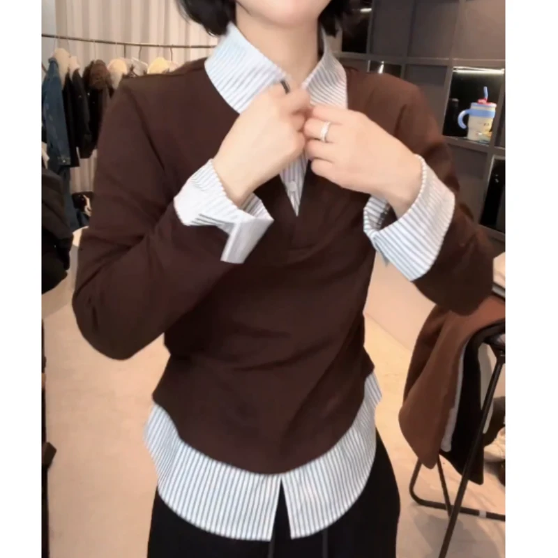 冬款磨毛polo领设计感百搭长袖显瘦上衣T恤LK2508676