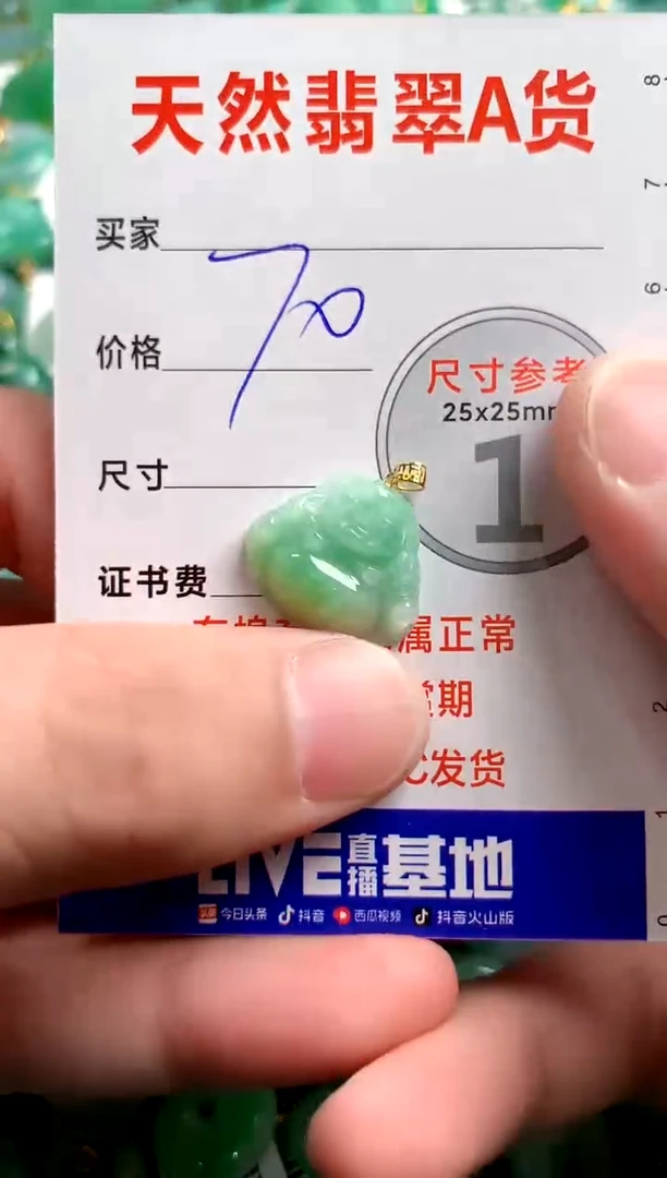 翡翠18K金镶嵌颈饰14004909
