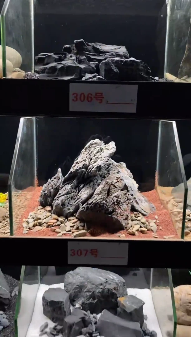 307号鱼缸造景（不含底砂）