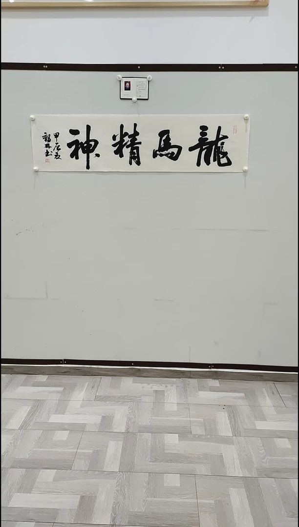 书法李1鹤林  龙马精神   4平尺