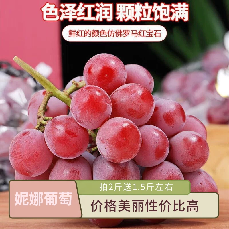 【妮娜皇后葡萄】一箱云南妮娜当季新鲜颗粒饱满红宝石无籽葡萄云南省