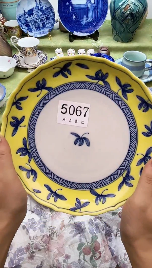 瓷片佳*           5067
