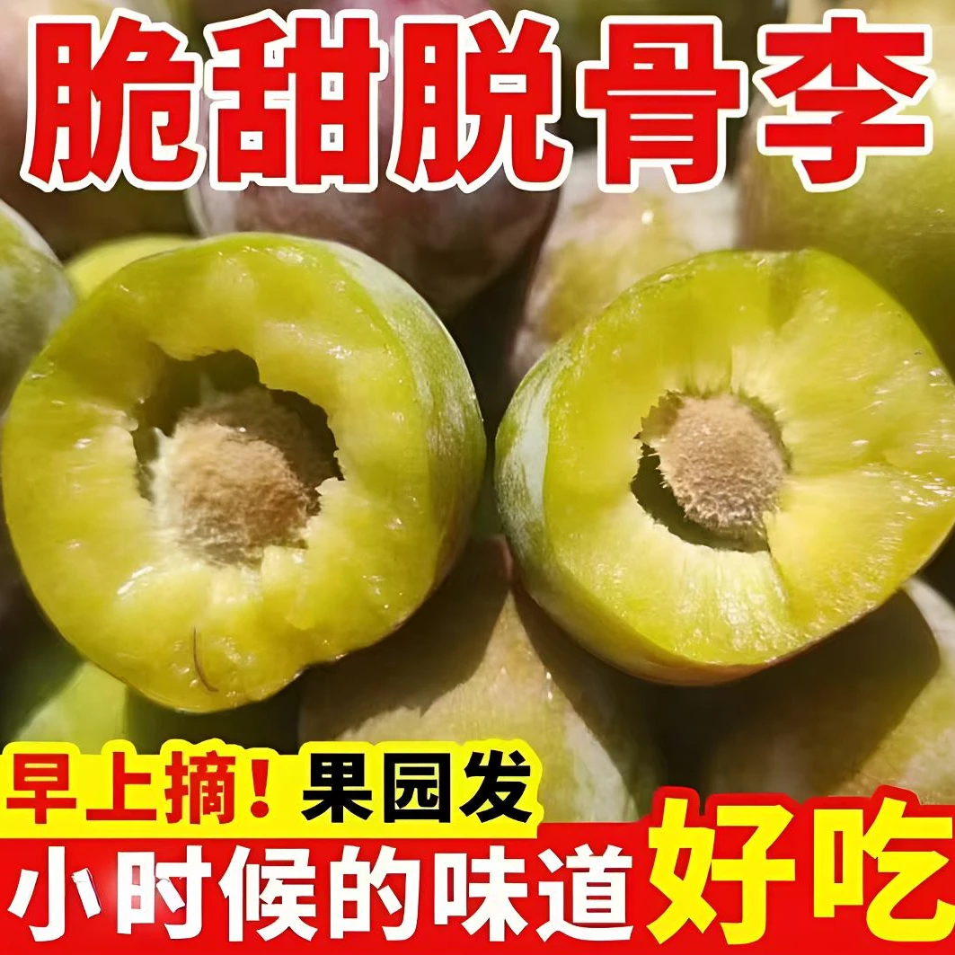 正宗四川脱骨李新鲜应季水果脆甜多汁小脆红-现摘现发