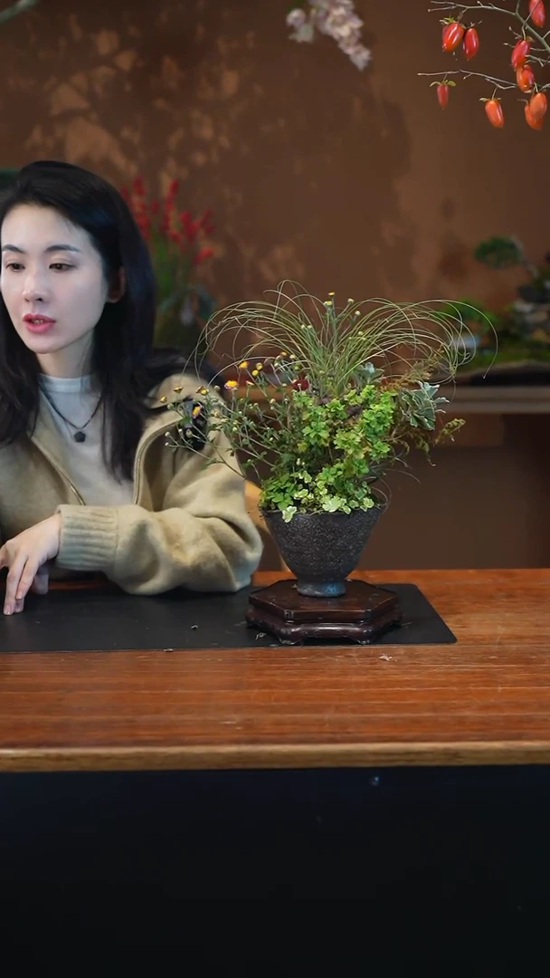 无花朵山野草盆景盆景盆景