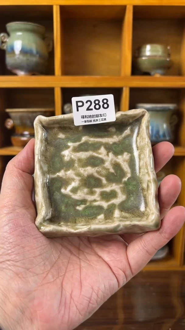 288 托盘【多肉花盆多肉盆】