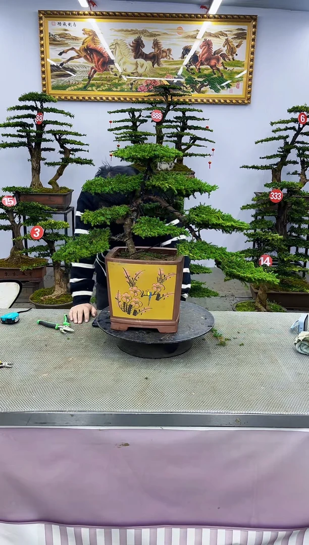 【闪购商品】一物一拍，所见即所得一物一拍，所见即所得