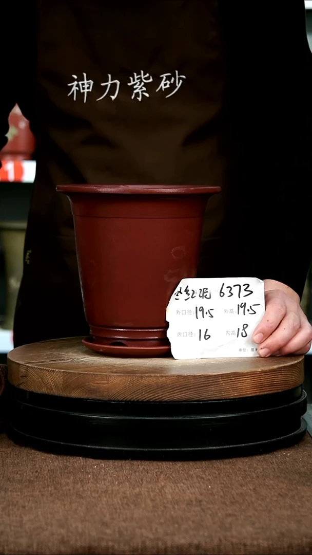 紫砂花盆花卉园艺6373+Z