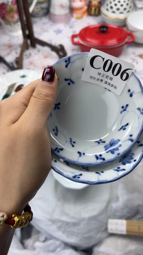 瓷片               C006