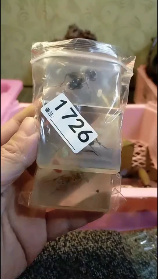 天*纪年坊杂项甄选专属链接