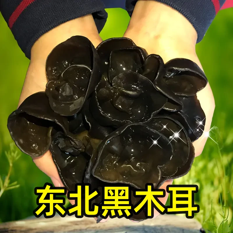 东北新货椴木黑木耳无根肉厚头茬木耳干货特产黑木耳250g/500g
