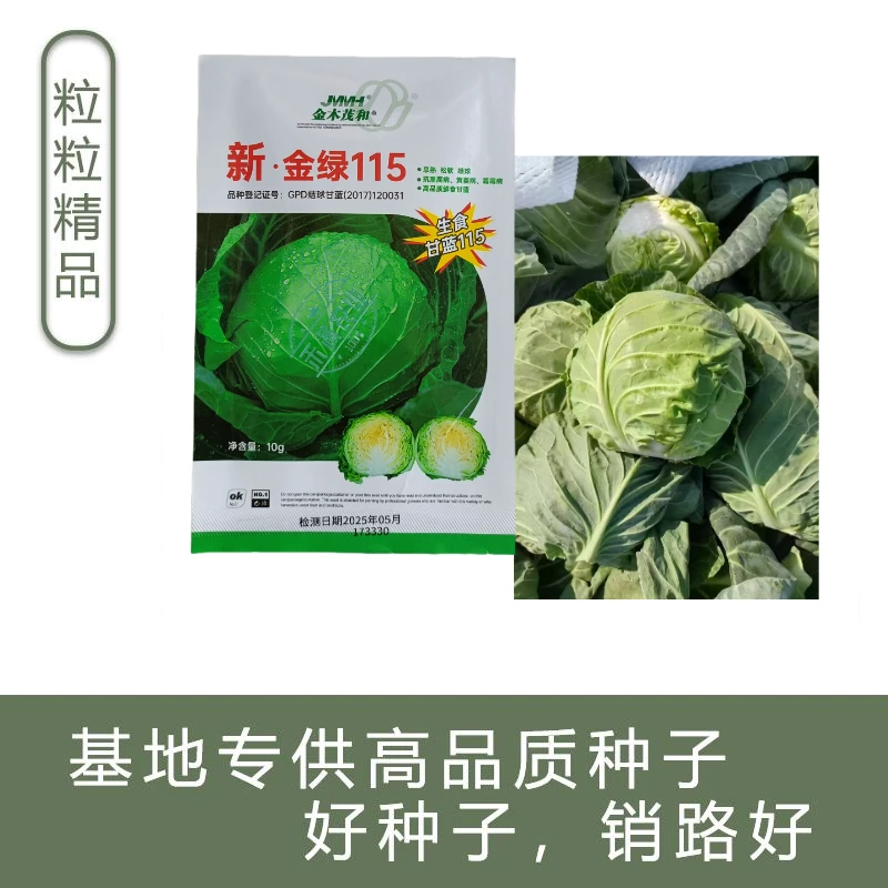 【沙拉甘蓝】金绿115水果甘蓝种子生食脆甜圆球型早熟抗病强甘蓝种