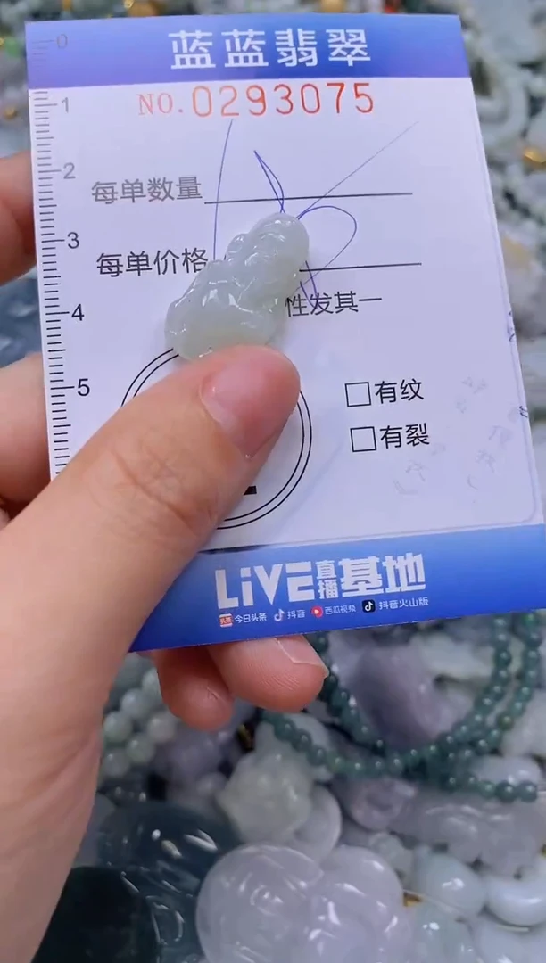 翡翠未镶嵌颈饰闪购0293075