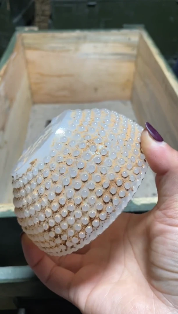 【闪购商品】碗一件
