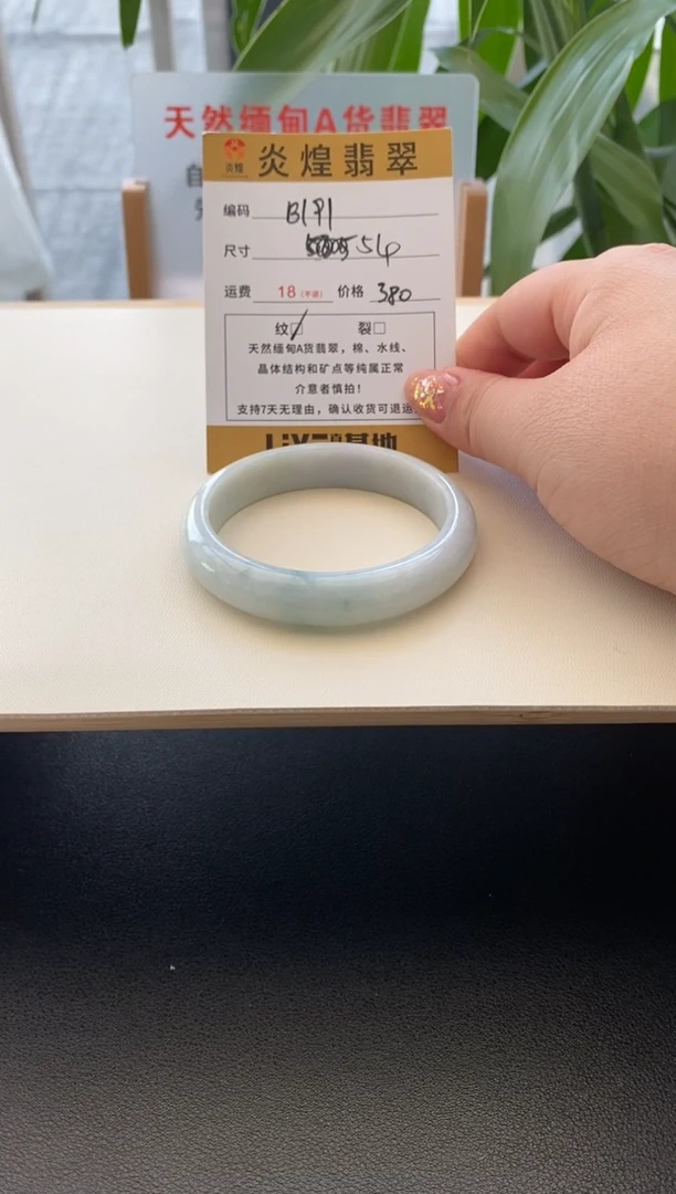 未镶嵌手镯翡翠54圈口 编码b191
