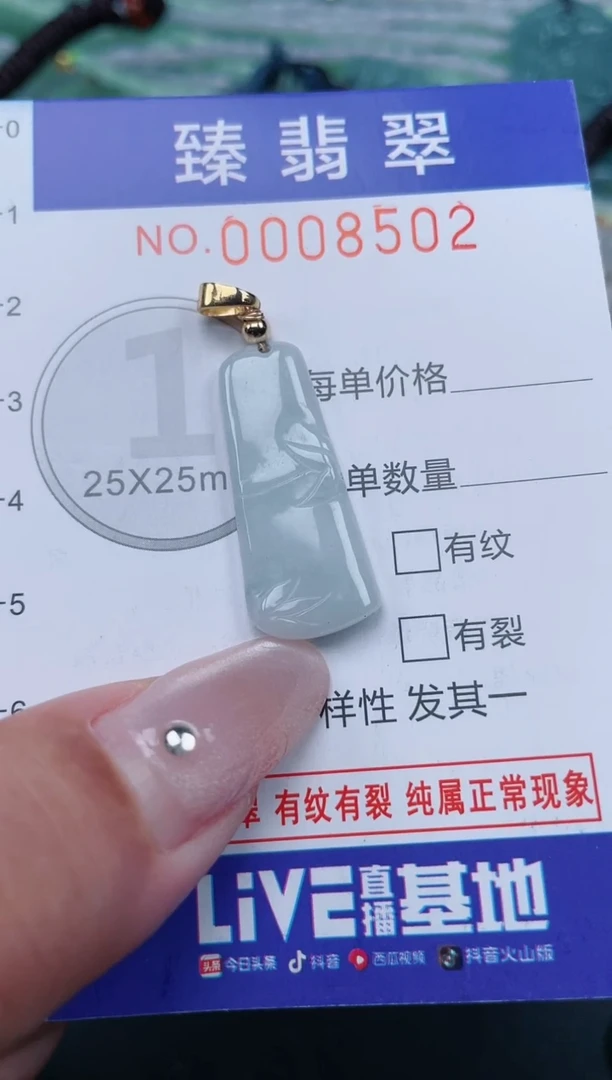 翡翠未镶嵌颈饰.0008502