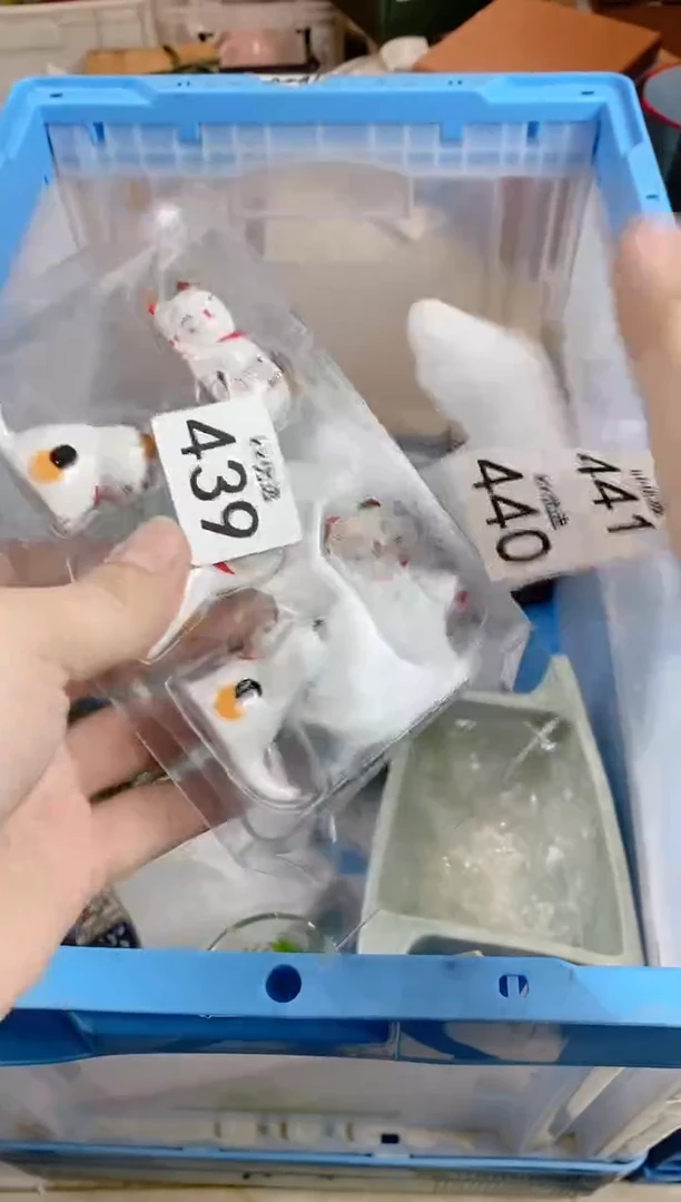 【闪购商品】瓷片439定向 得叽叽定向 得叽叽