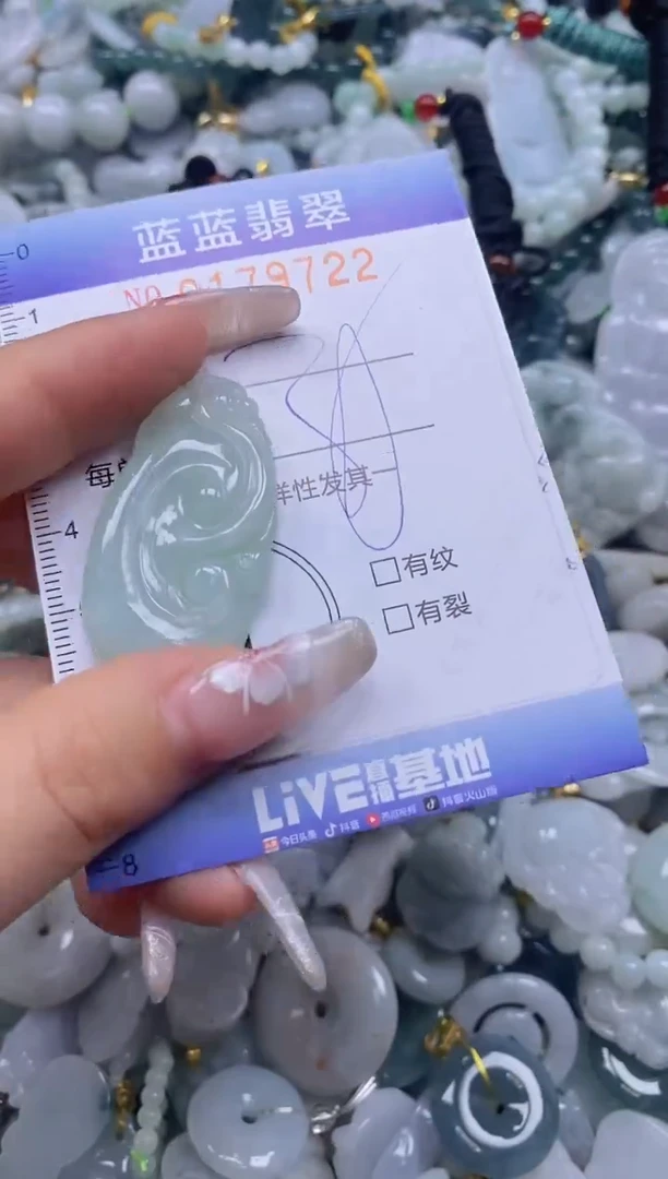 【闪购商品】翡翠颈饰未镶嵌闪购0179722