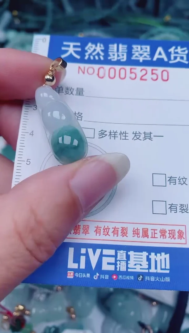 颈饰未镶嵌翡翠00005250