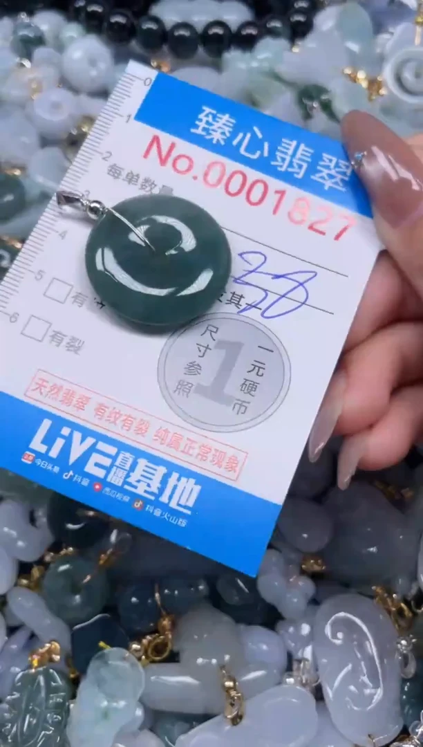 颈饰未镶嵌翡翠1827