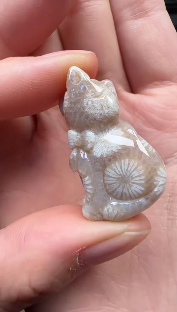 颈饰未镶嵌硅化珊瑚（珊瑚玉）152