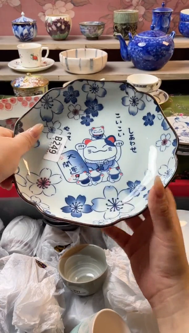 瓷片瓷器瓷器B249