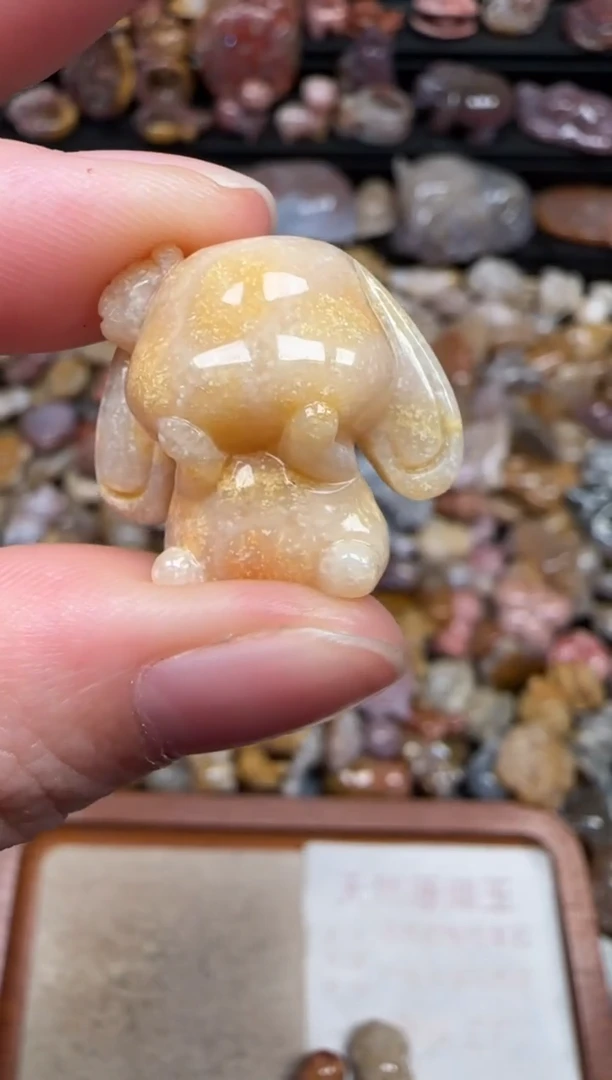 颈饰未镶嵌硅化珊瑚（珊瑚玉）185