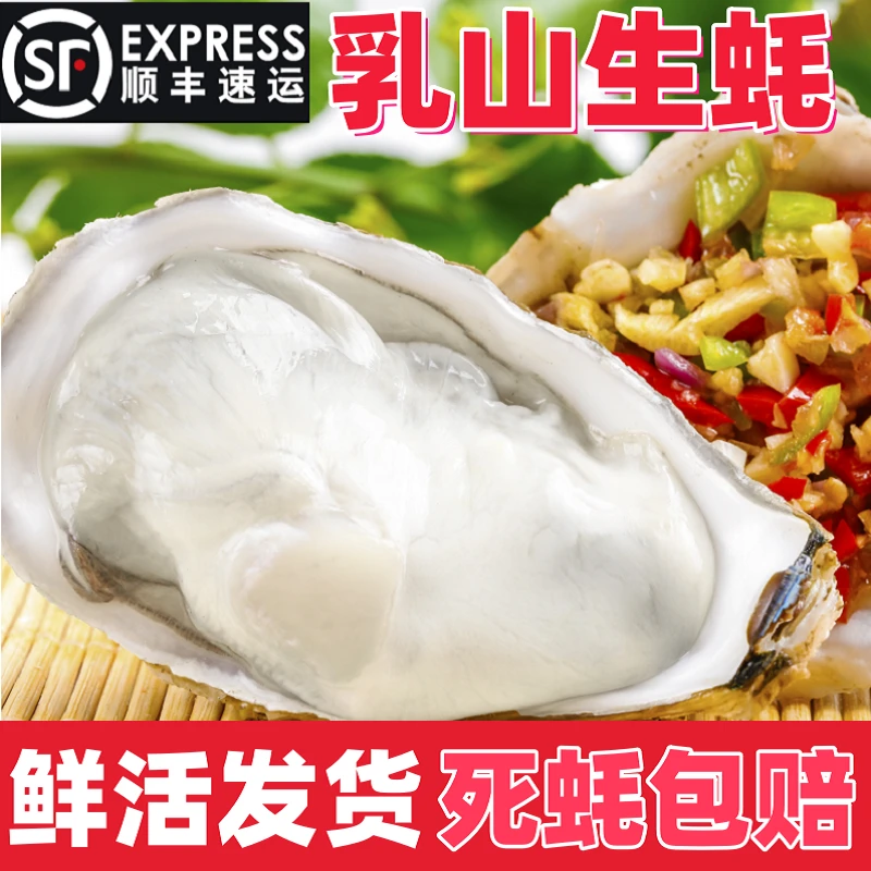 山东威海乳山生蚝5斤8斤鲜活牡蛎海蛎子海鲜原产地乳山大生蚝