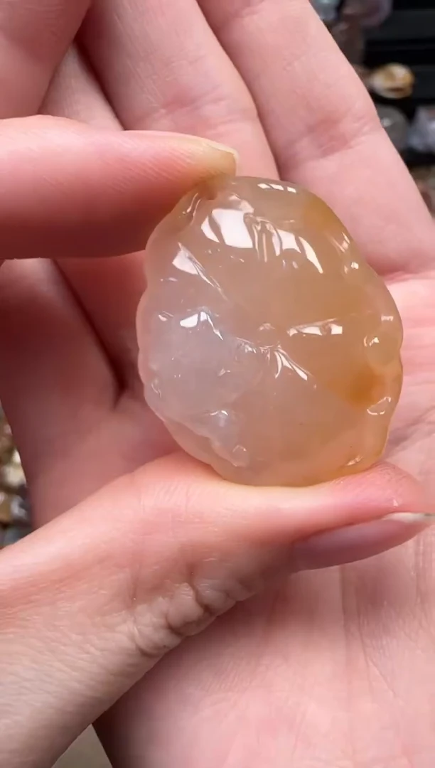 颈饰未镶嵌硅化珊瑚（珊瑚玉）219