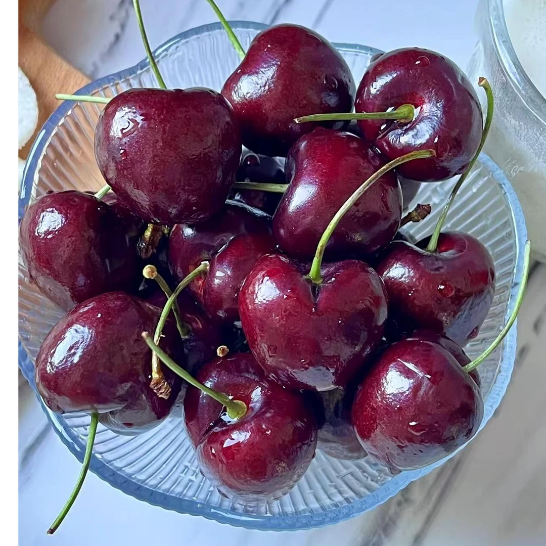 【原箱智利车厘子】3JD车厘子 净重5斤海运智利进口/内附果径卡