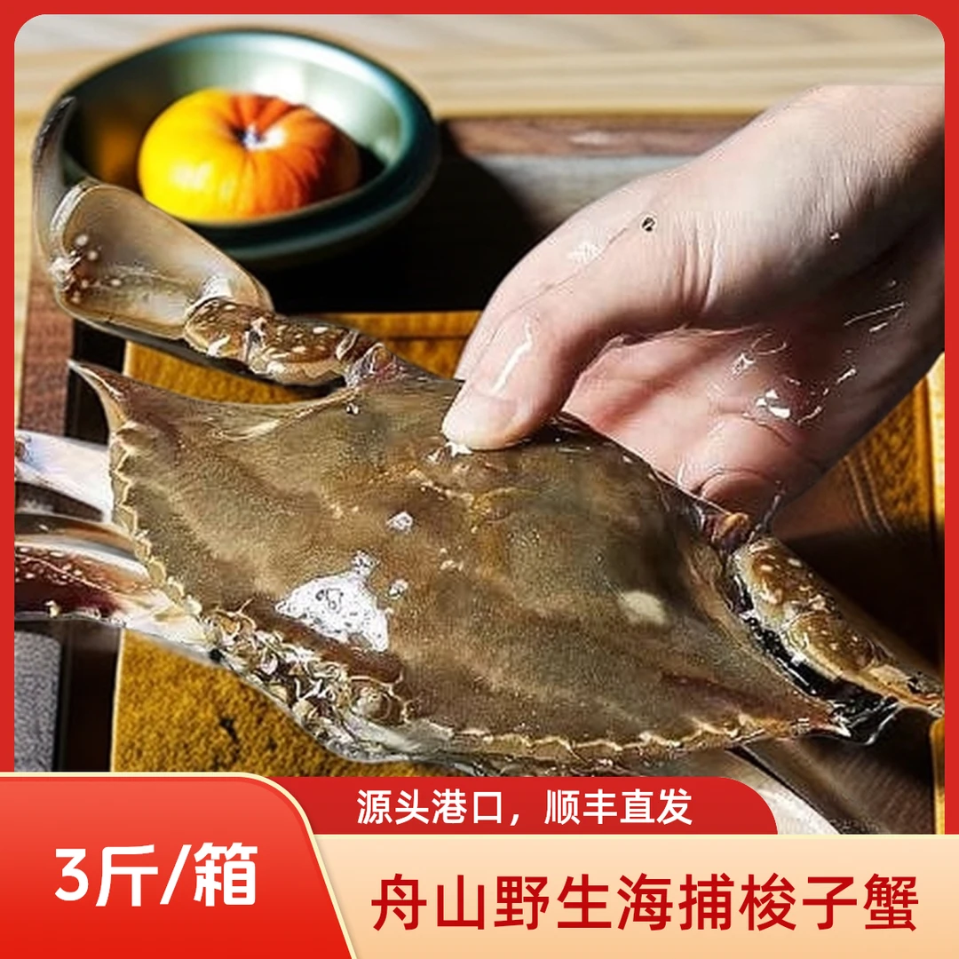 【保鲜不保活】舟山梭子蟹 母蟹 4-6两/只 净重3斤左右/箱 【冻蟹】