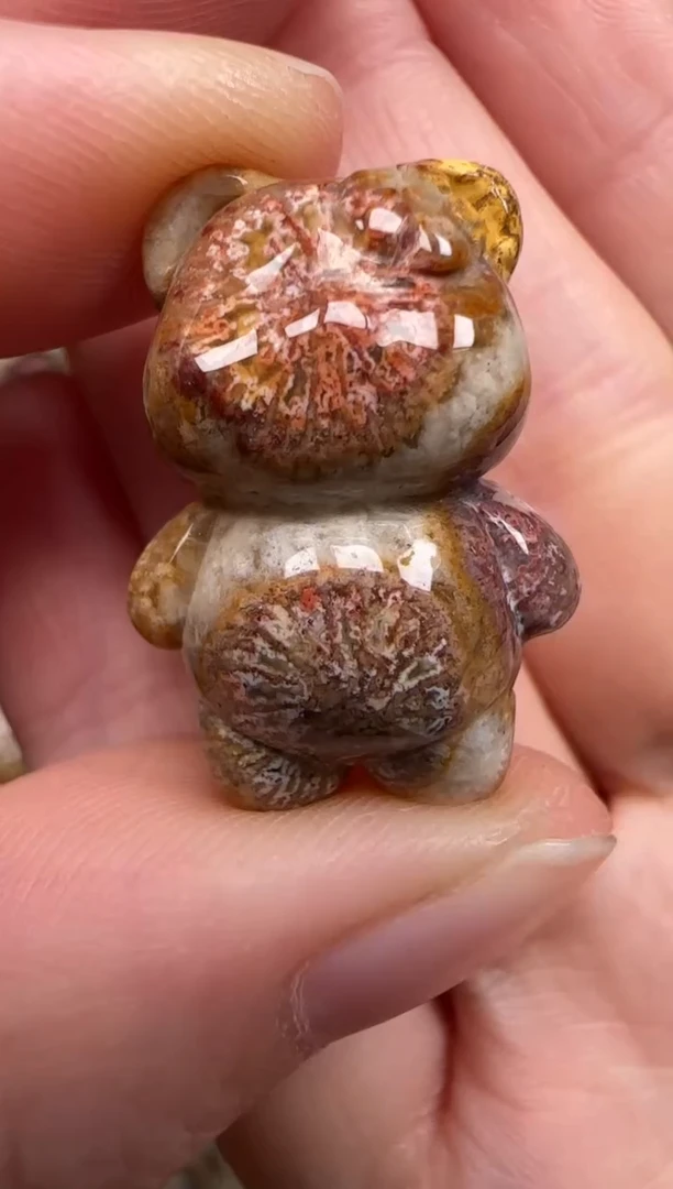 硅化珊瑚（珊瑚玉）未镶嵌颈饰359