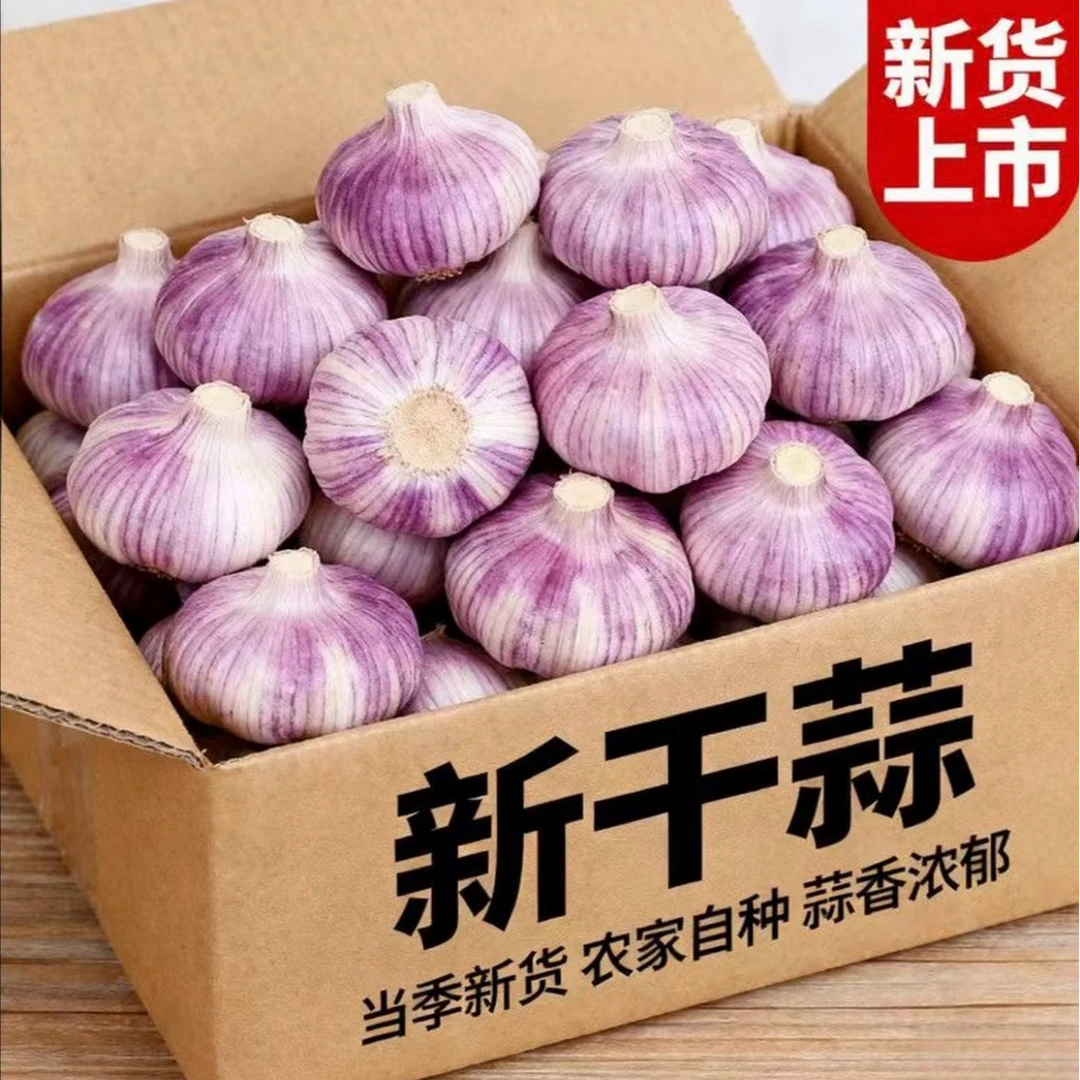 【2025新干蒜】新晒干蒜大蒜 蒜香浓郁辛辣十足