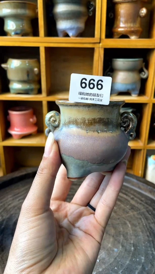 666【多肉花盆多肉盆】