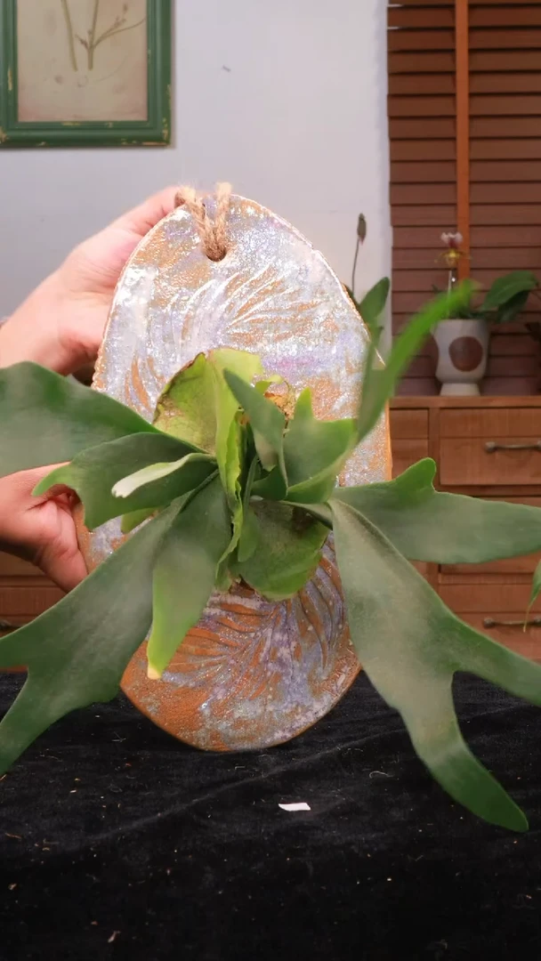 【花漾多】 景德镇手工陶瓷板子 中通包邮