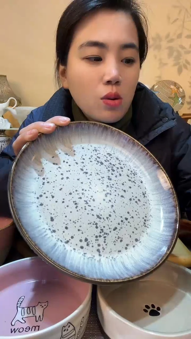 【闪购商品】瓷片8.5英寸盘 微瑕介意勿拍