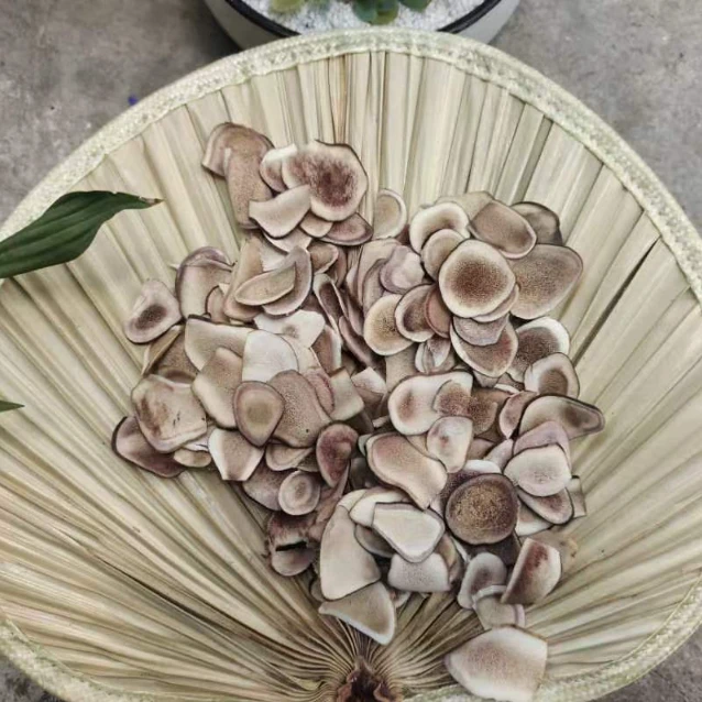 1【鹿-茸-片】净含量250g-1000g【小胡现收】